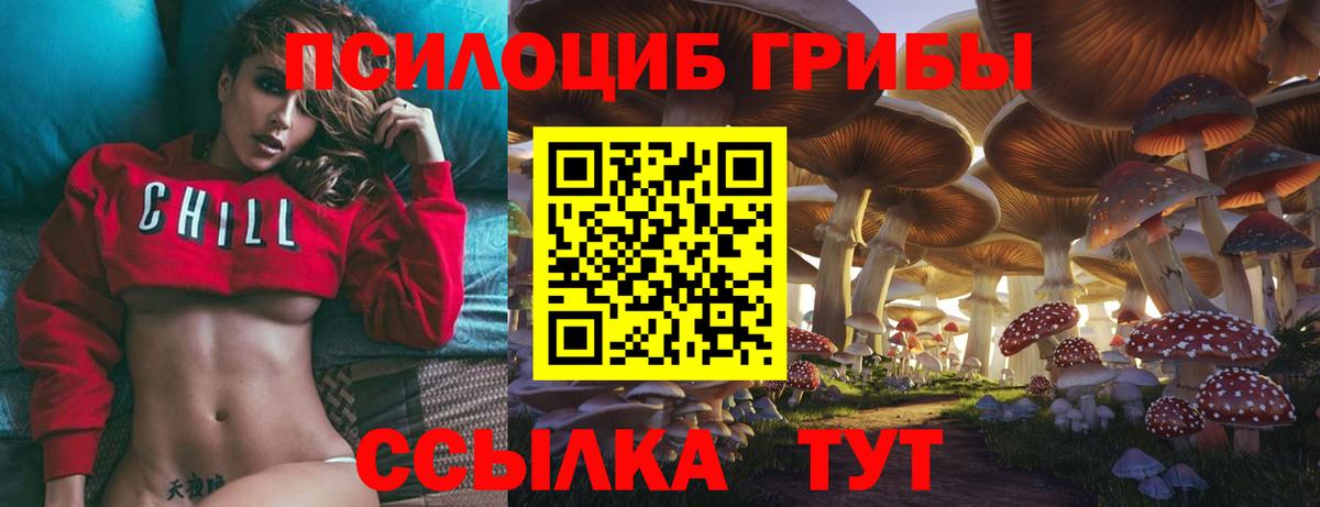 Галлюциногенные грибы мухоморы  купить наркоту  Сосновоборск  Вход с VPN 
