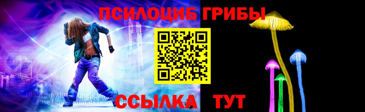 Галлюциногенные грибы Psilocybine cubensis Сосновоборск